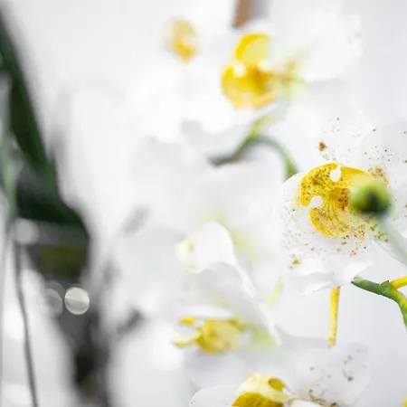 Lägenhet Aresti Old Town By Living Bilbao