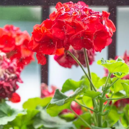 Aresti Old Town By Living Bilbau