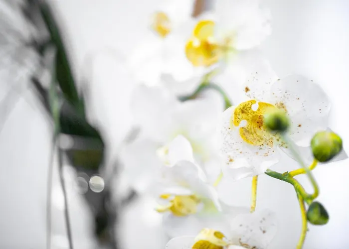 Appartement Aresti Old Town By Living Bilbao